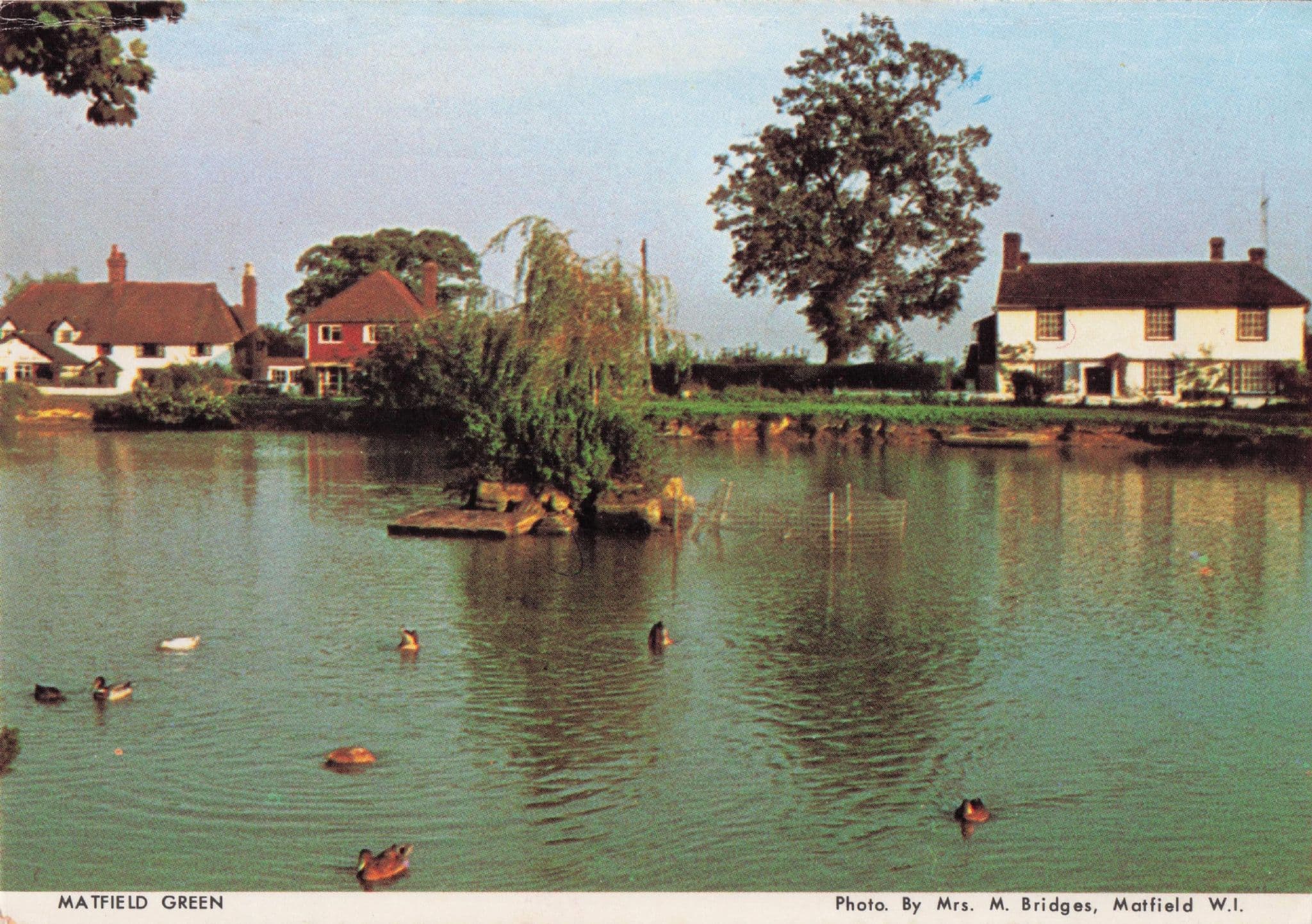 Matfield Green River Swans Kent Womens Institute Postcard