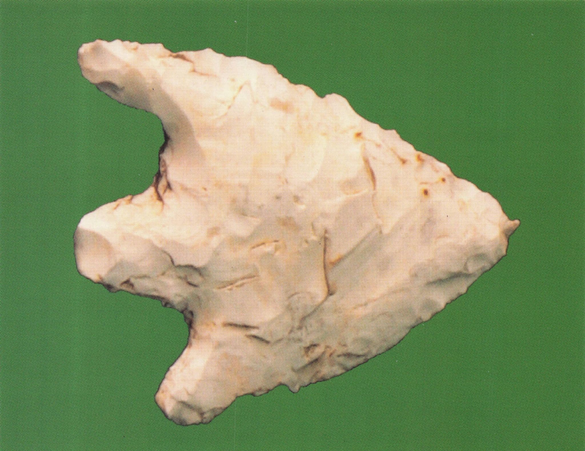 Don Gorge Antique Arrowhead Doncaster Artefact Museum Postcard