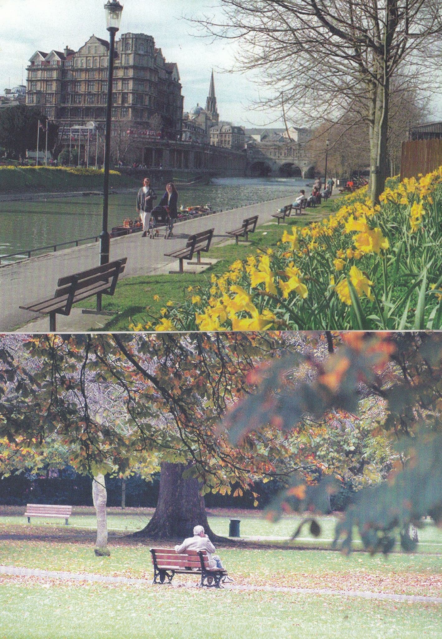 Old Age Pensioner at Bath Park Avon Restful Moments Postcard