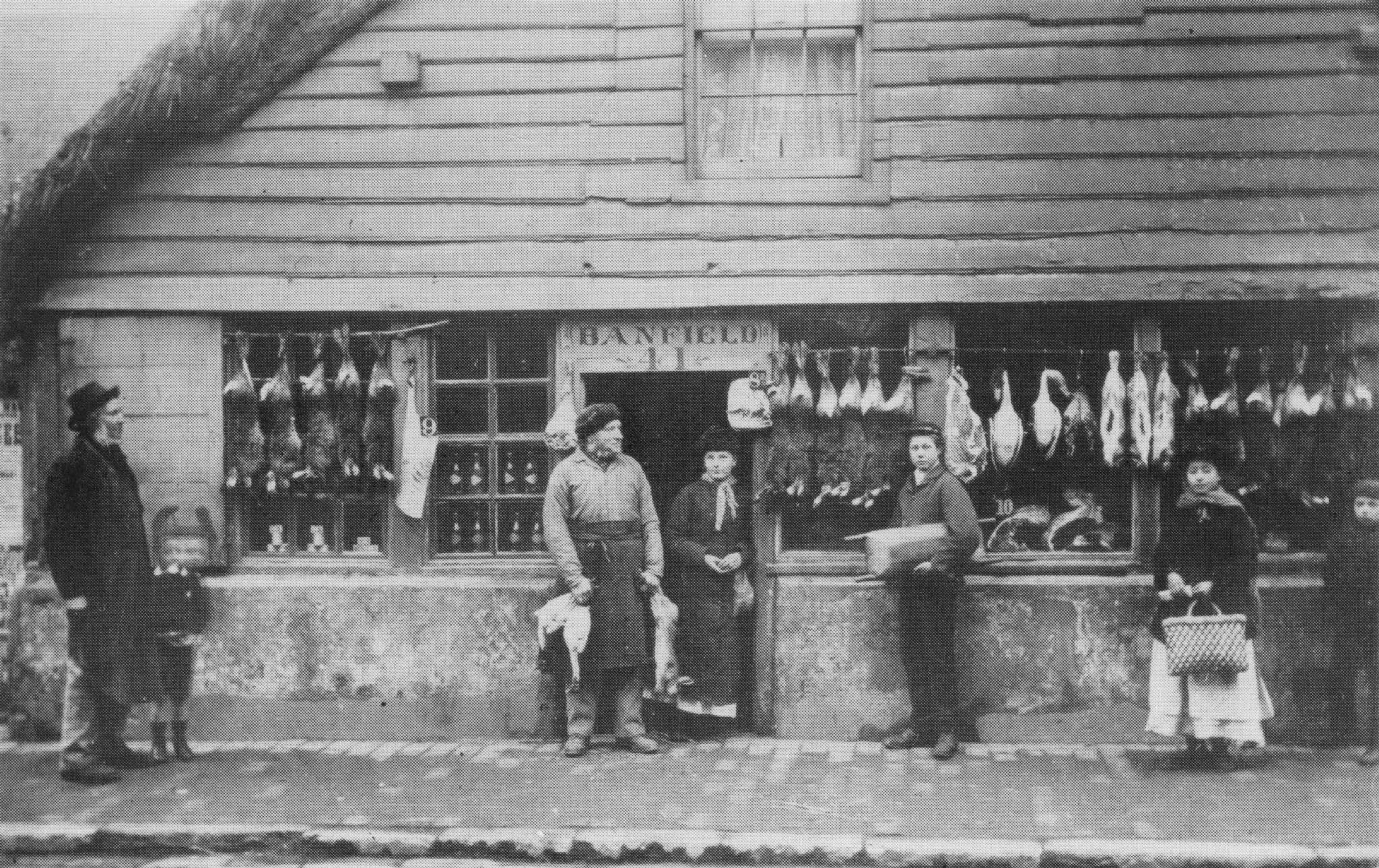 Poultry Bird Store Ex Dumplings Bakery High Street Littlehampton Sussex Postcard