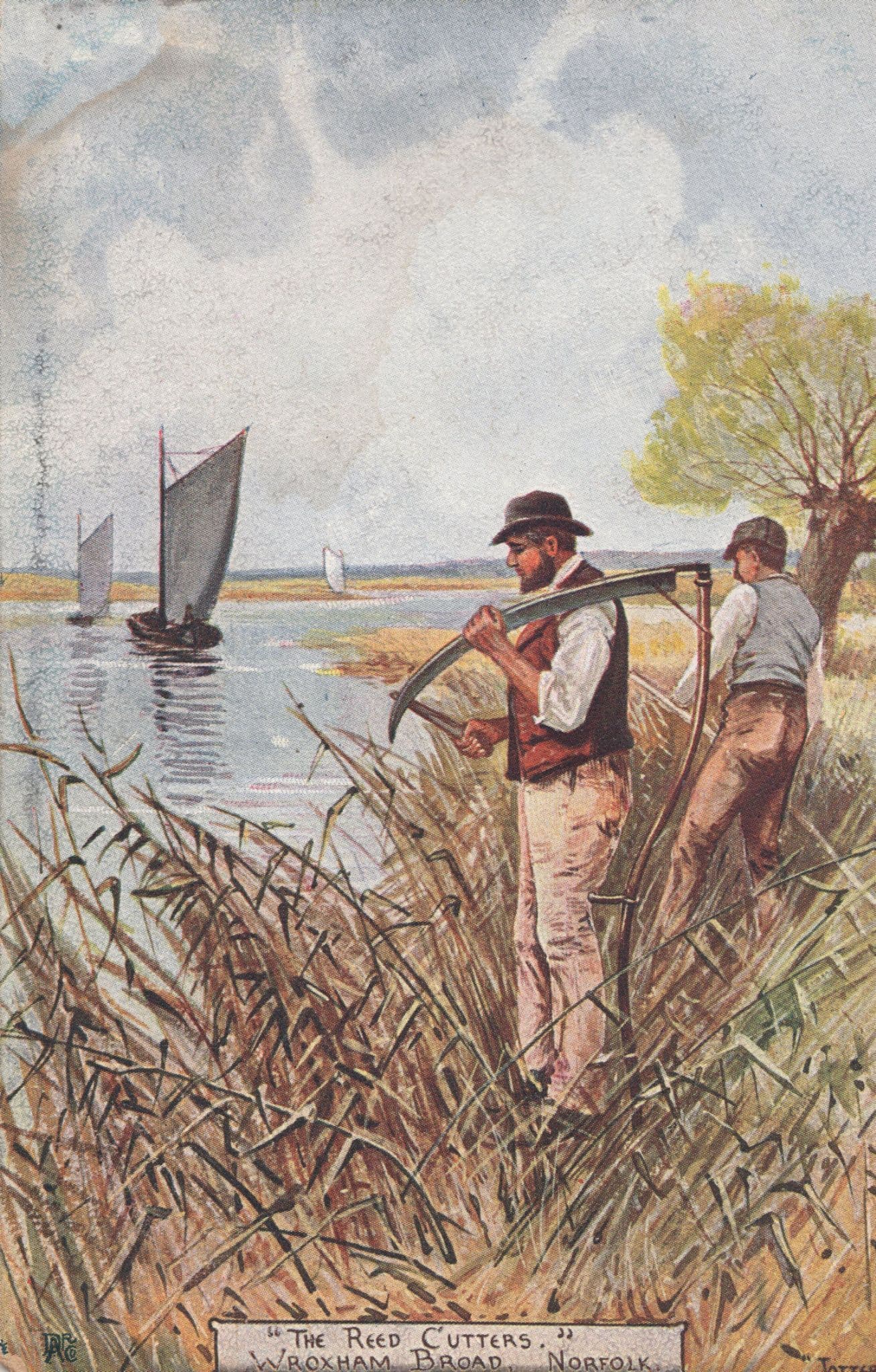 Reed Cutters at Wroxham Norfolk Boats Ship Old Postcard