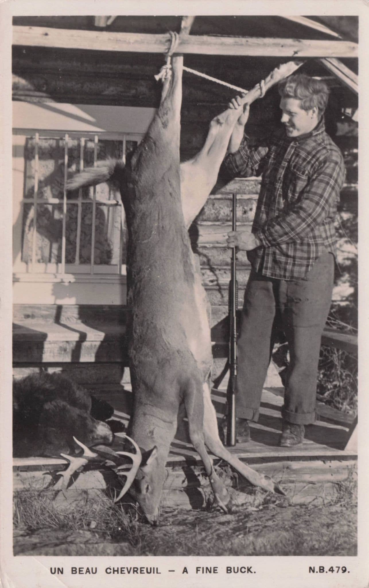 A Fine Buck Deer Quebec Canadian France Animal Hunting Trophy Old Postcard