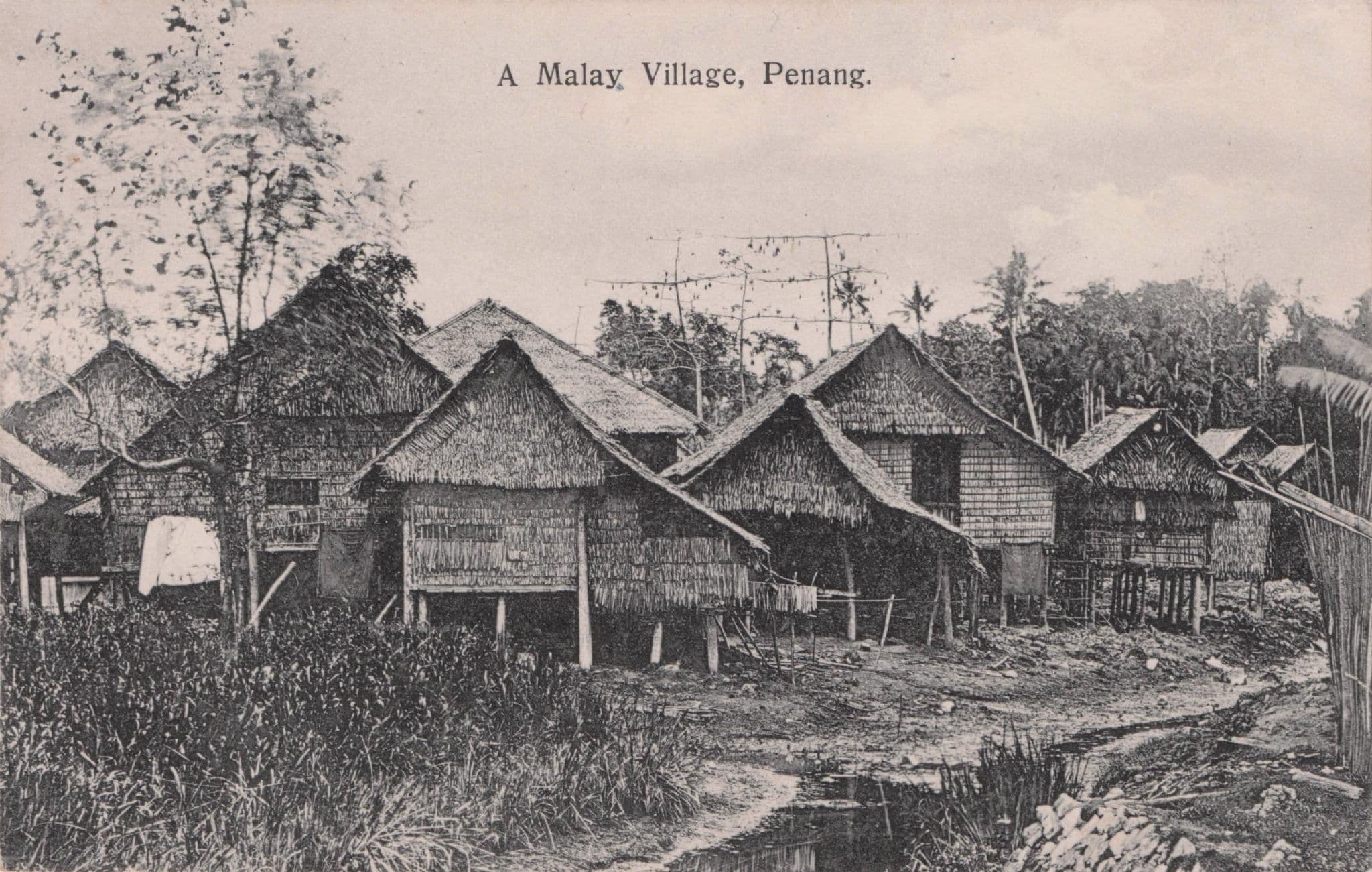 A Malay Village Penang Malaysia Old Houses Antique Postcard