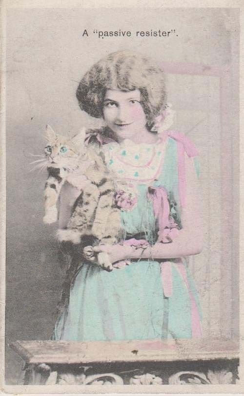 A Passive Resister Cat Antique Old Unique Blue Blouse Fashion Cats Postcard