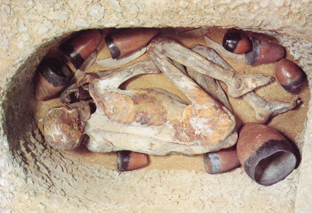 A Reconstructed Burial Gebelein Egypt Museum Postcard