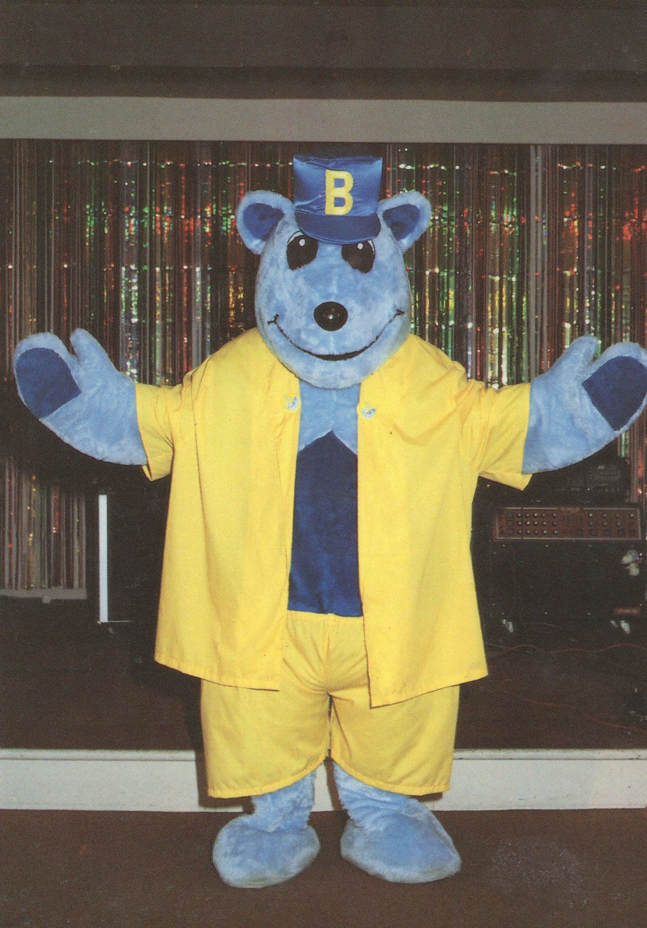 Bluey Bear Blue Sky Great Yarmouth Holiday Park Norfolk Vintage Postcard