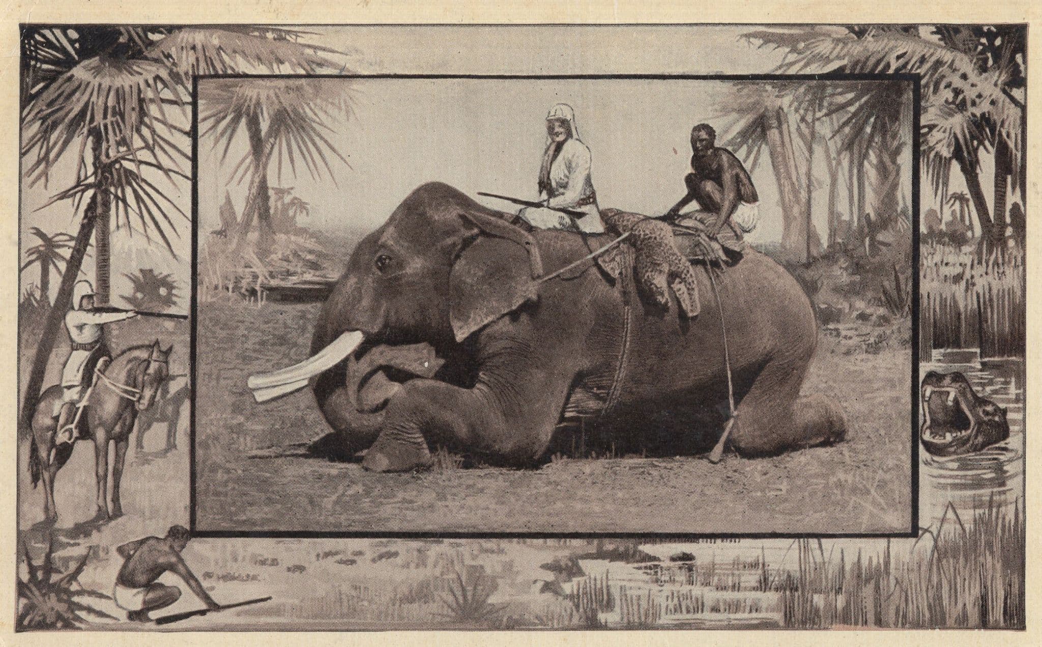 African Hunting Elephant Animal Hunt Rifle Art Rare Old Postcard