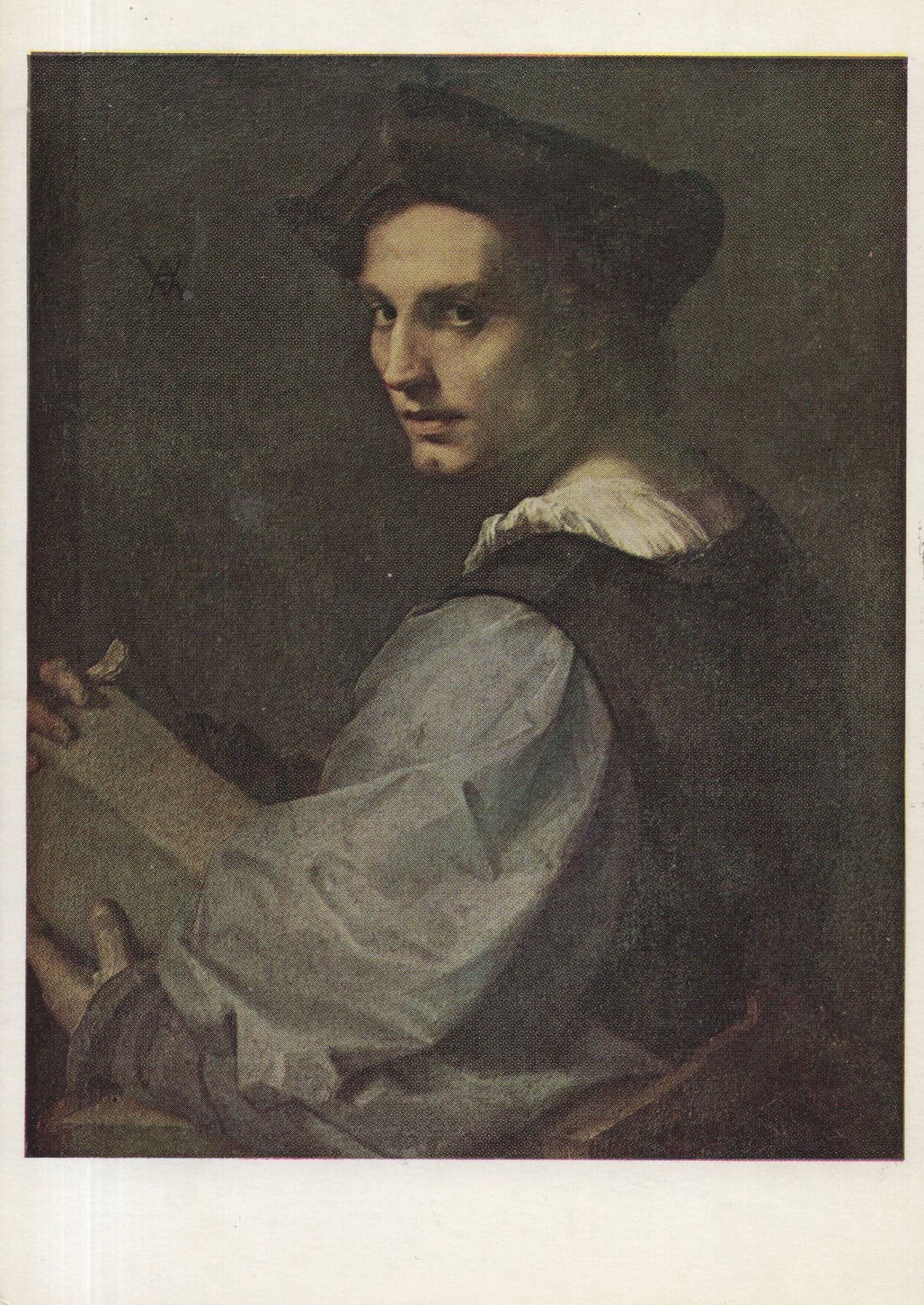 Andrea Del Sarto Portrait Of A Young Man Painting Postcard