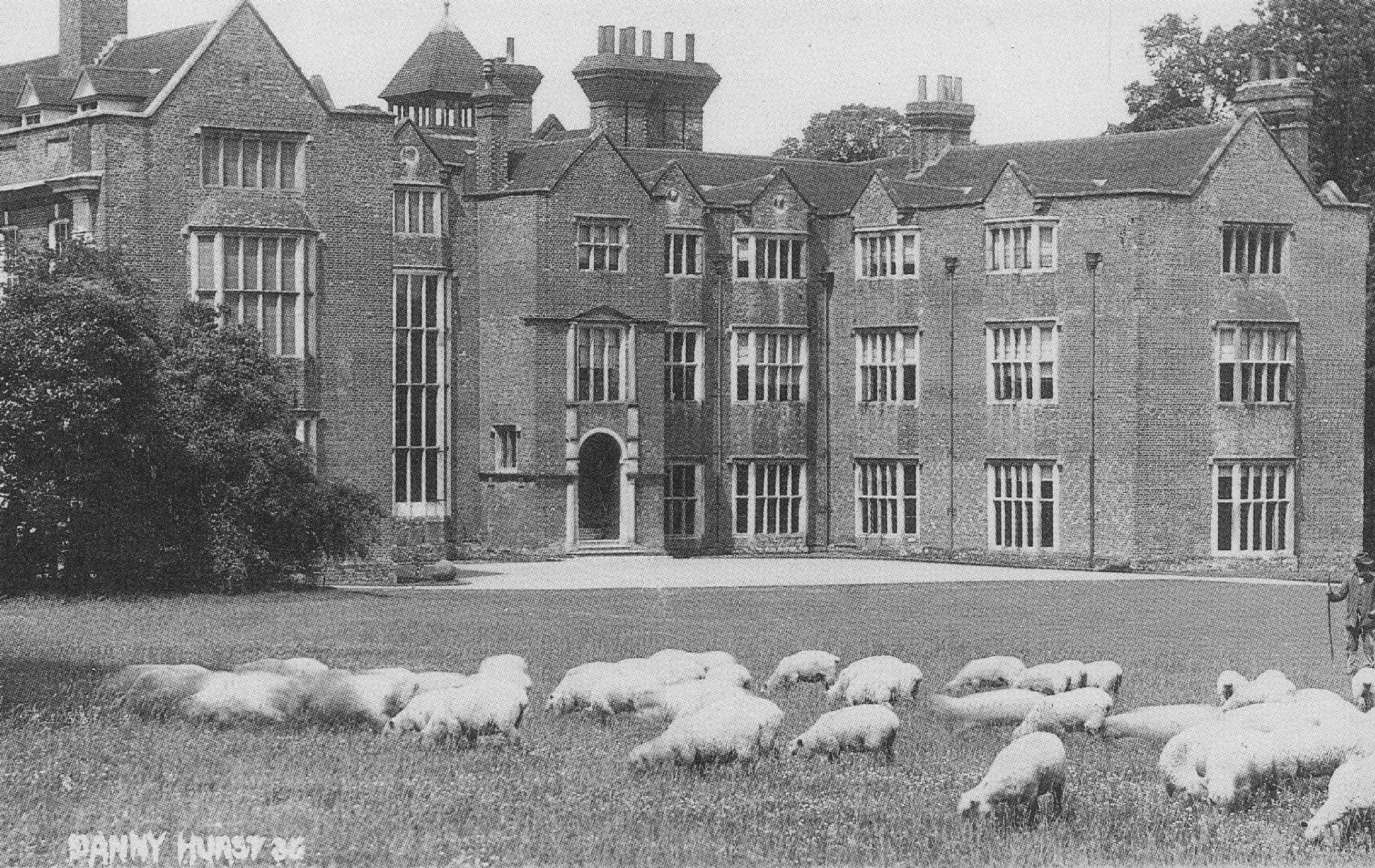 Danny Mansion Hursterpierpoint Sussex Tudor Mansion Postcard