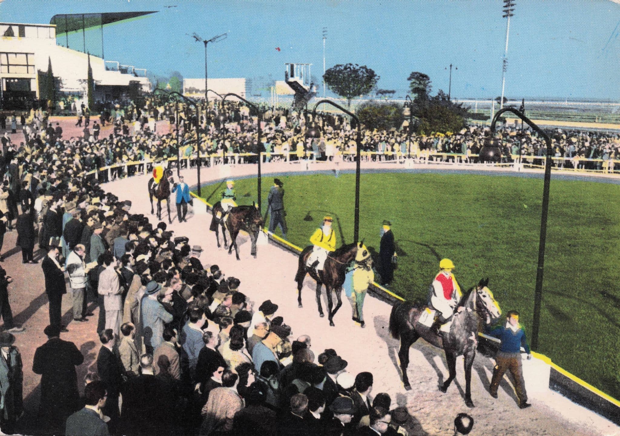 Cagnes Sur Mer French Horse Racing 1980s Postcard