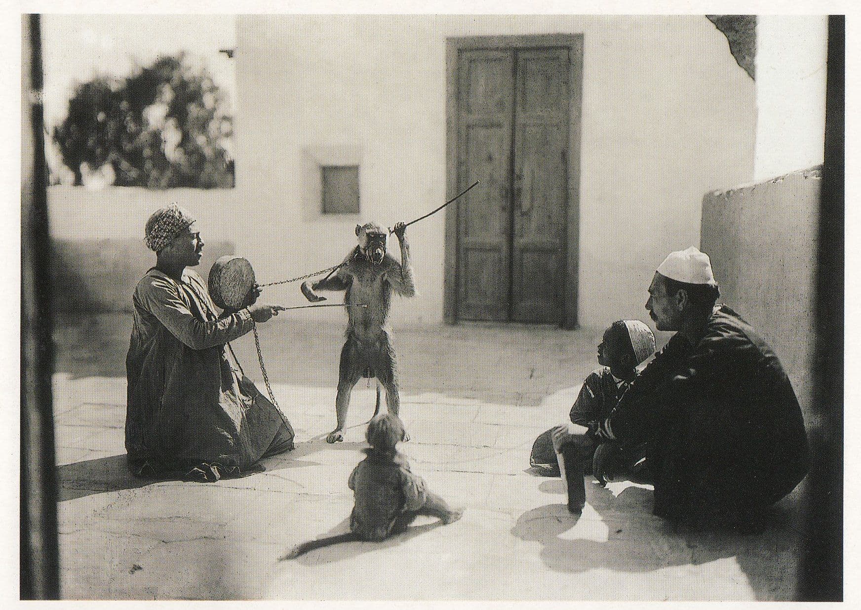 Dancing Monkey In Chains Egypt Egyptian Circus Photo Postcard