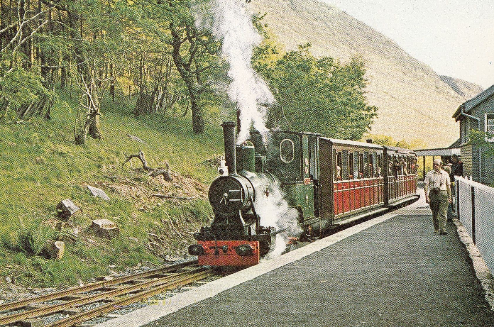 Abergynolwyn Evening Welsh Train Man With Huge Sideburns Postcard