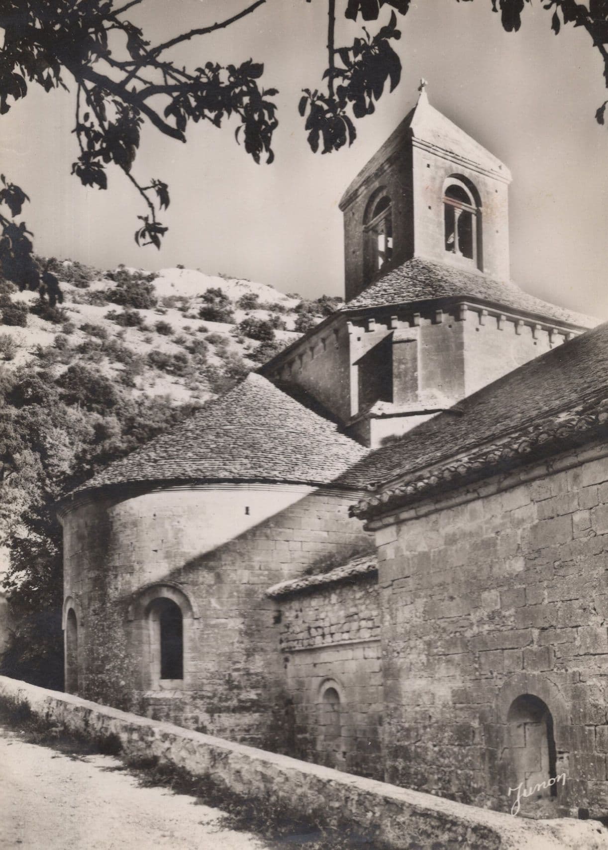 Abbey Cisterciene De Senanque Gordes L'eglise Abbatiale French Postcard