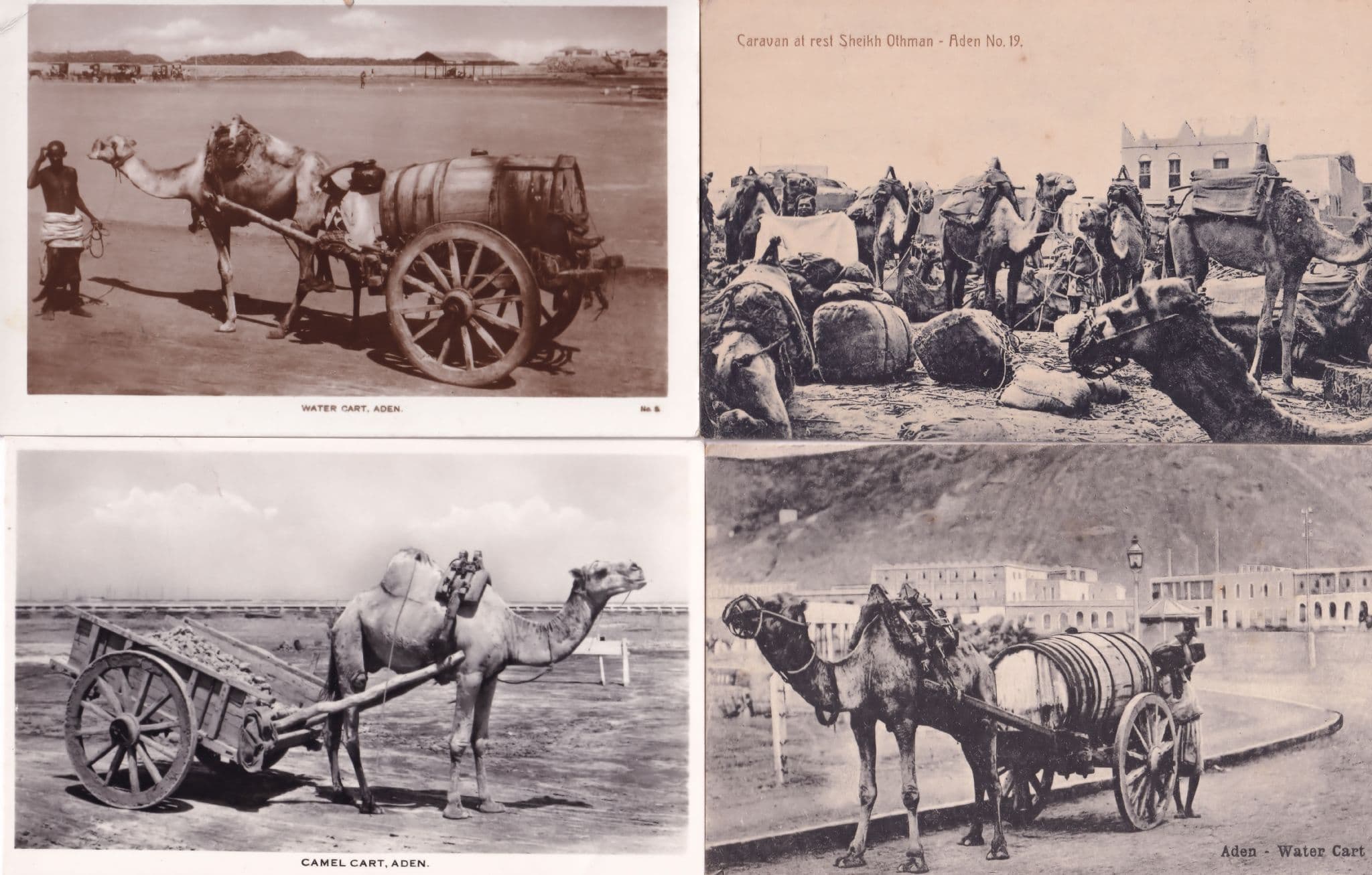Aden Harbour Boats Camel Cart 4x Real Photo Postcard s