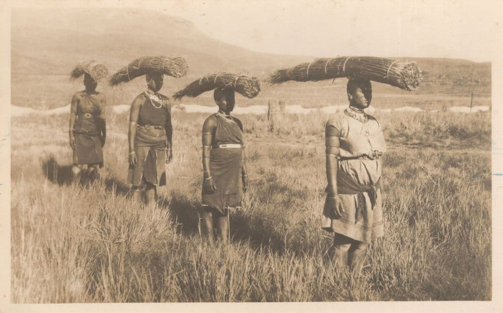 African Headcarriers Wood On Heads Old Farming Ethnic Postcard