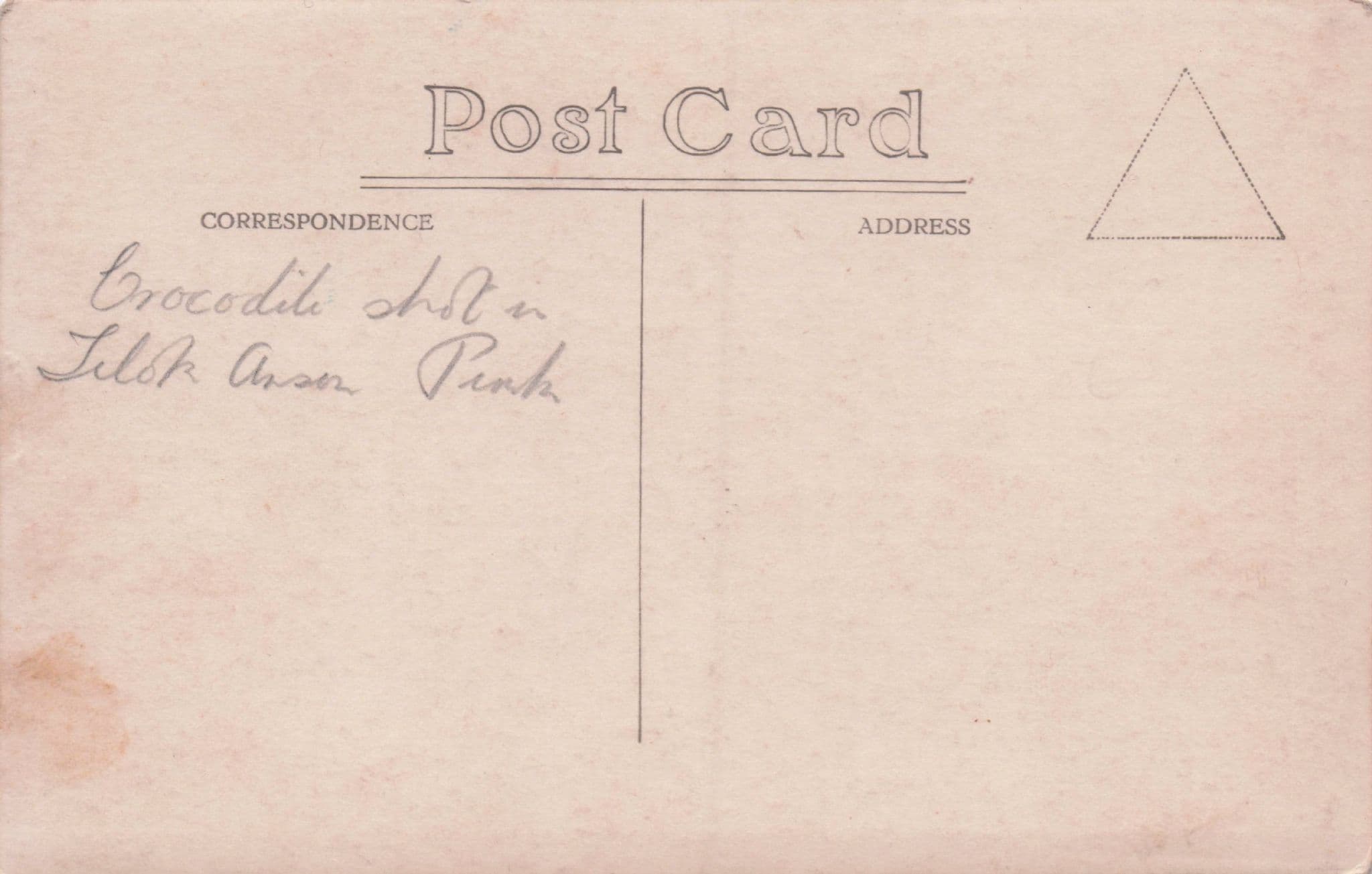 African Malaya Gun Shot Kills Crocodile Animal Hunting Party Old RPC Postcard