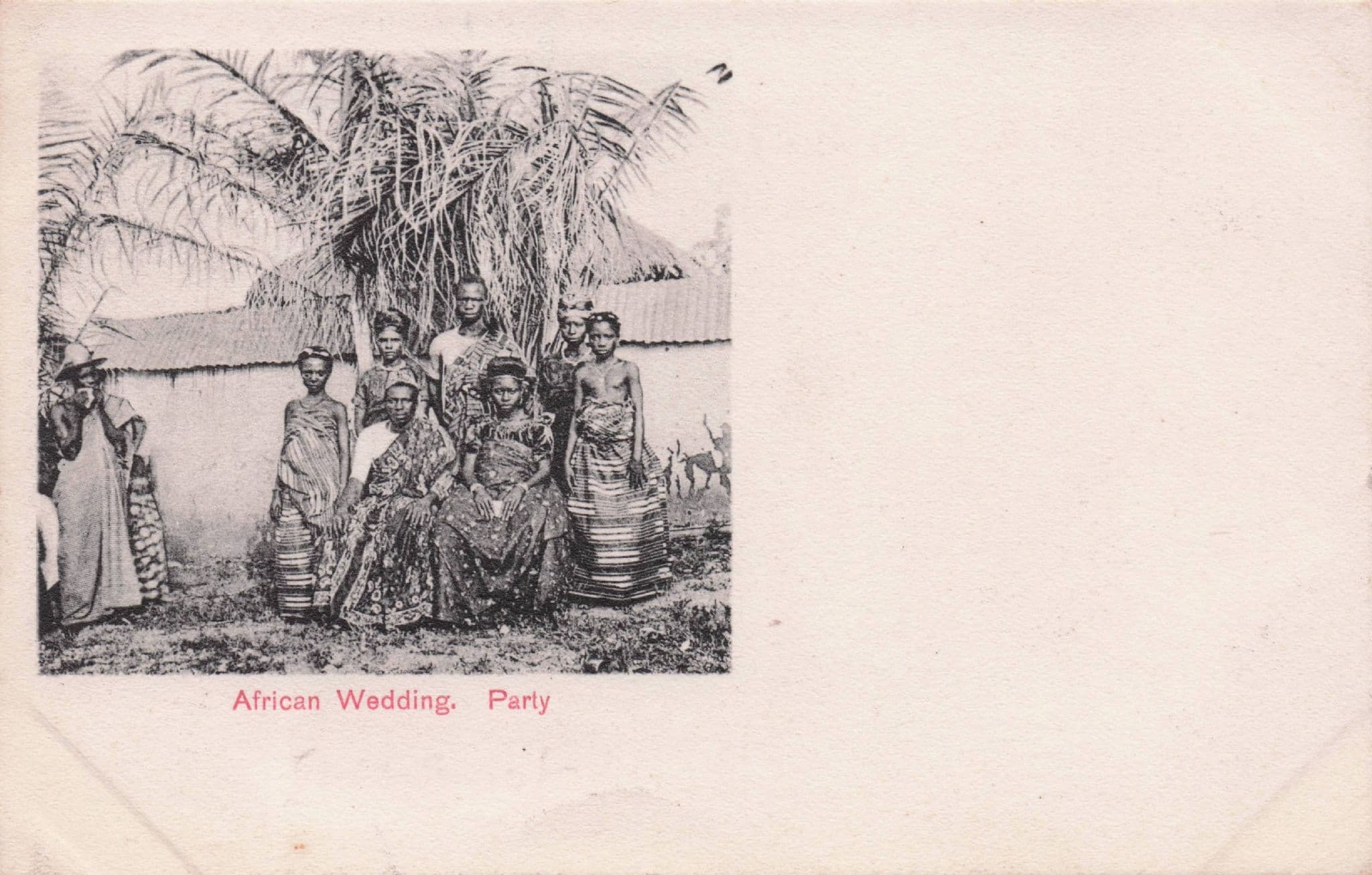 African Wedding Party Gold Coast Australia Antique Postcard