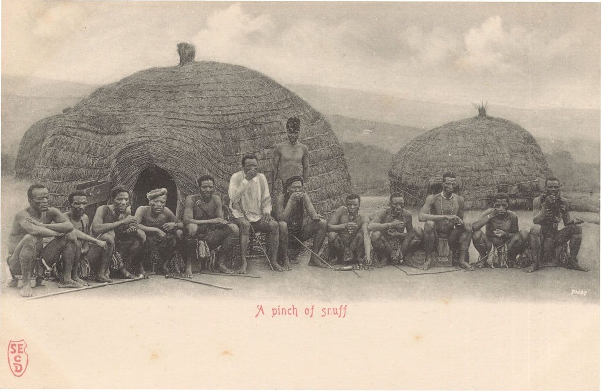 African Zulu Tribe Men A Pinch Of Snuff Antique Ethnic Postcard
