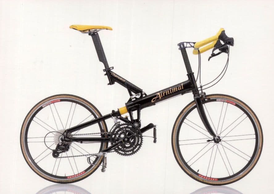 Airnimal Chameleon UK 2005 Bicycle Bike Cycle Postcard