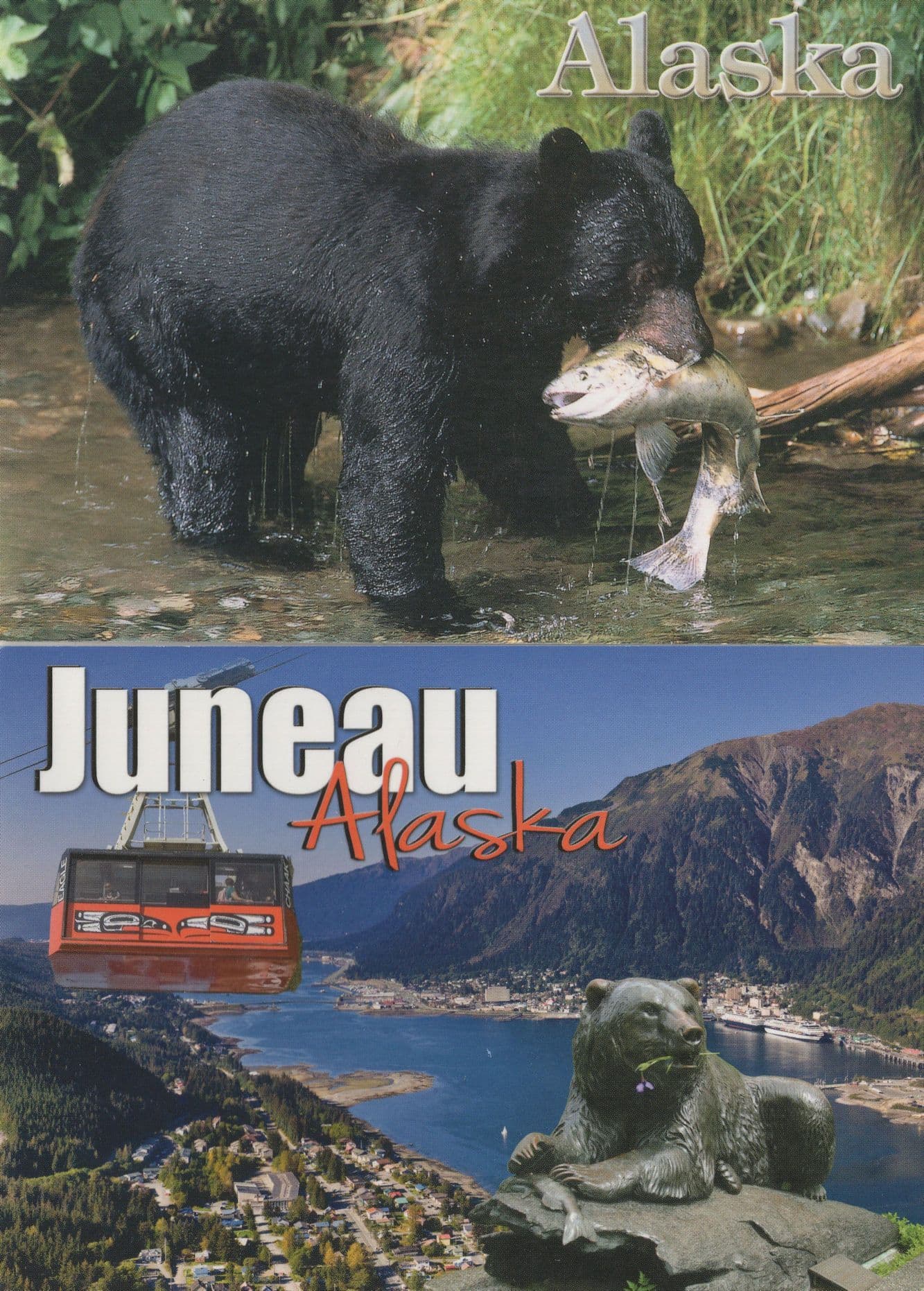 Alaska Bear Eating Fish Alive Statue & Real Bears 2x Postcard