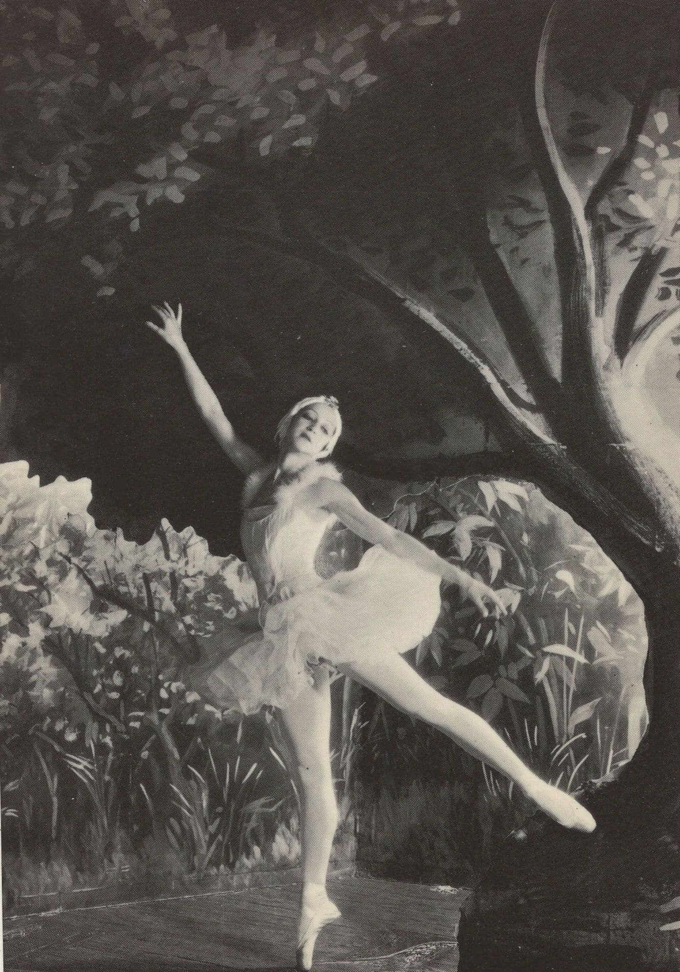Alexandra Danilova Russian Ballet Dancer Ballerina Photo Postcard