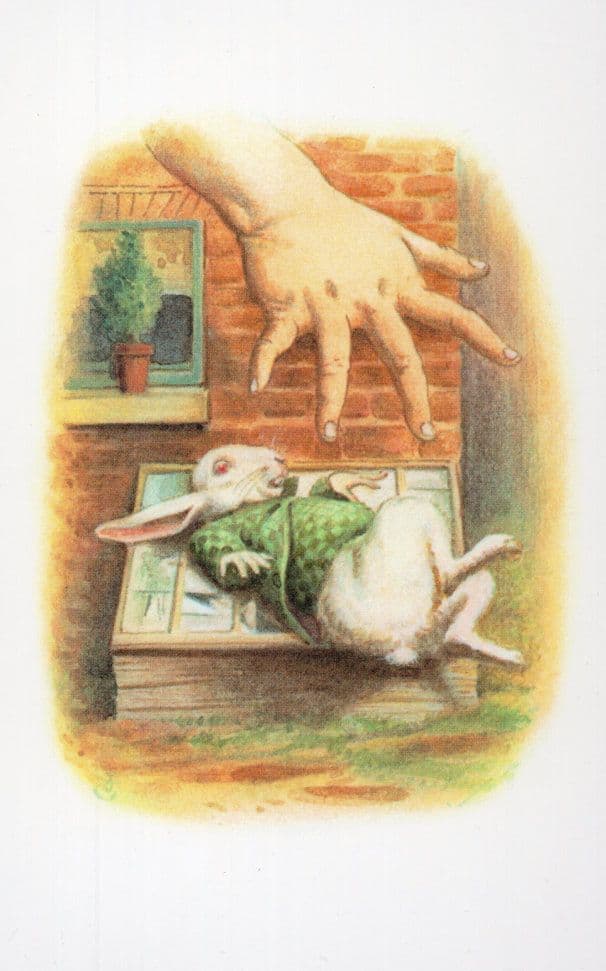 Alice Reaches To White Rabbit In Wonderland Book Postcard