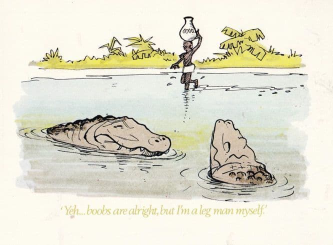 Alligators Crocodile With African Risque Woman Bad Taste Comic Humour Postcard