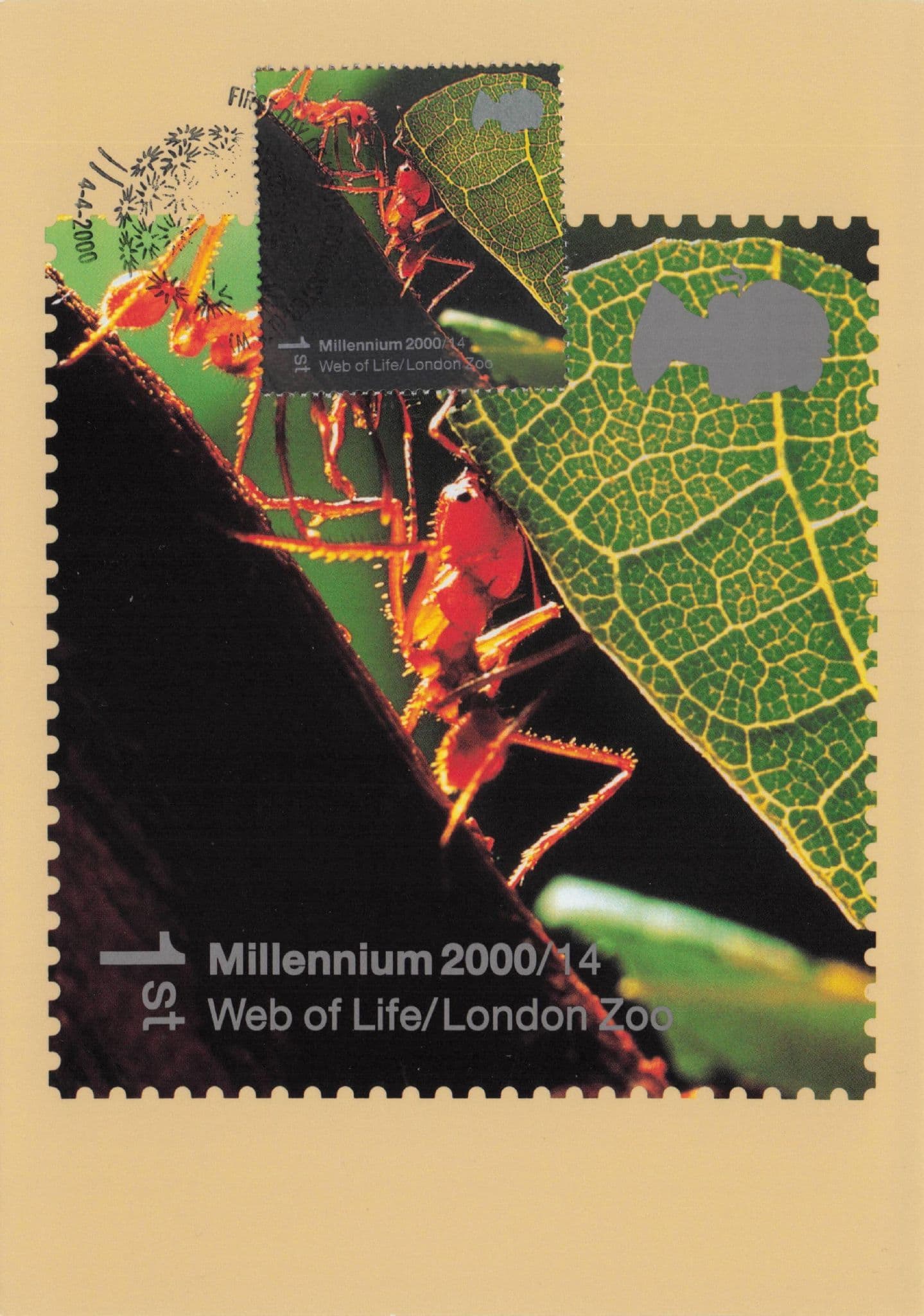Amazing Strong Red Worker Ant Royal Mail FDC Postcard