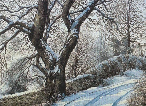 Ambleside Churchyard In Winter Christmas Snow Cumbria 1980s Postcard