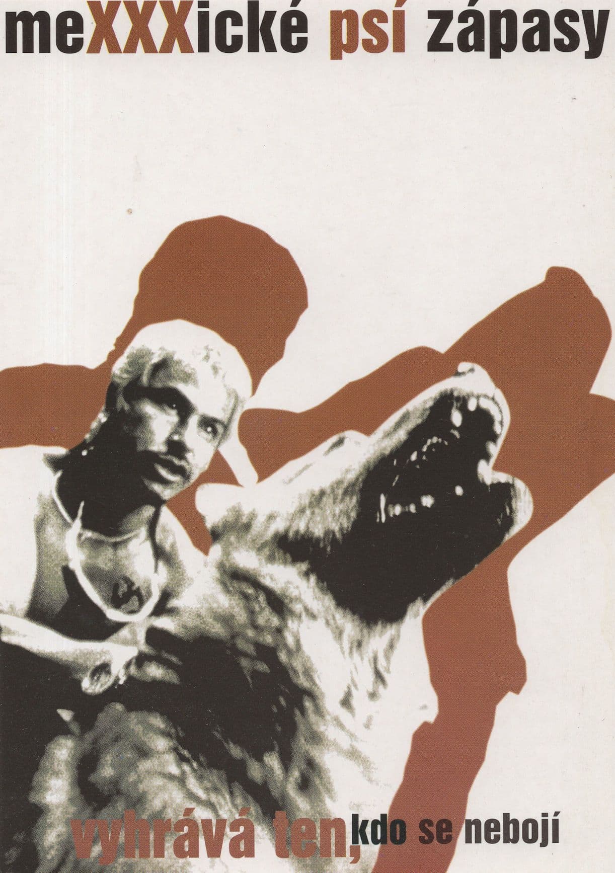 Amores Perros Dog Fight Boxing Mexico Mexican Film Advertising Postcard