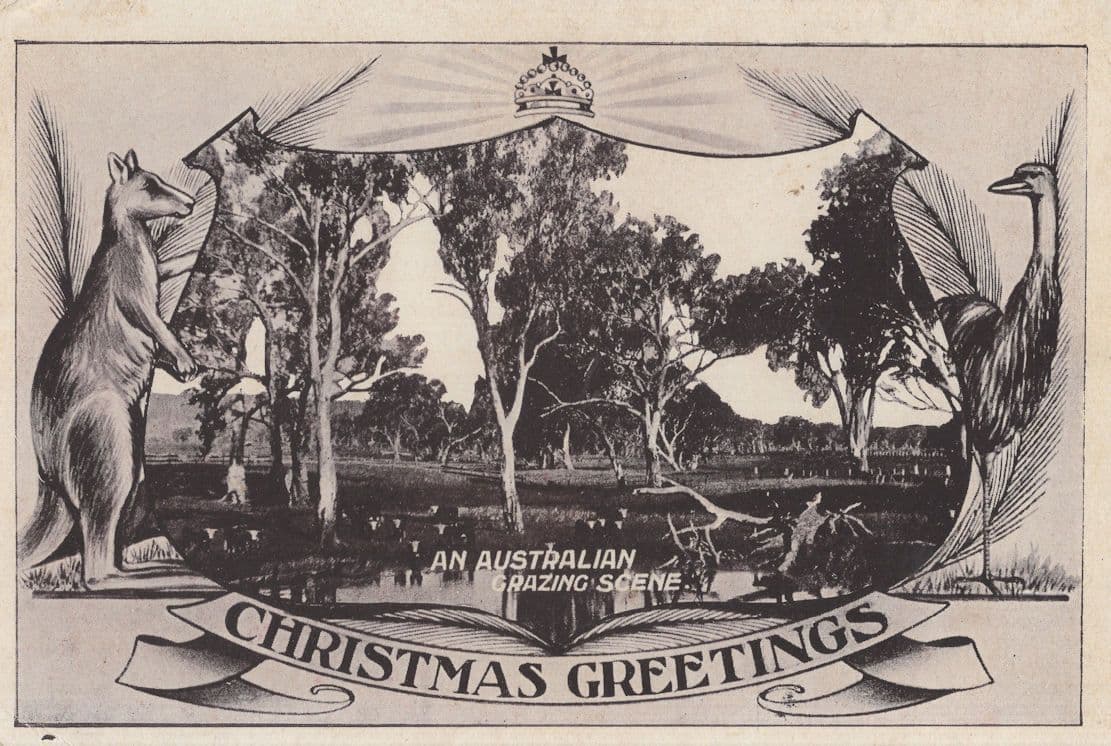 An Australian Grazing Scene Antique Kangaroo Theatre Curtains Postcard