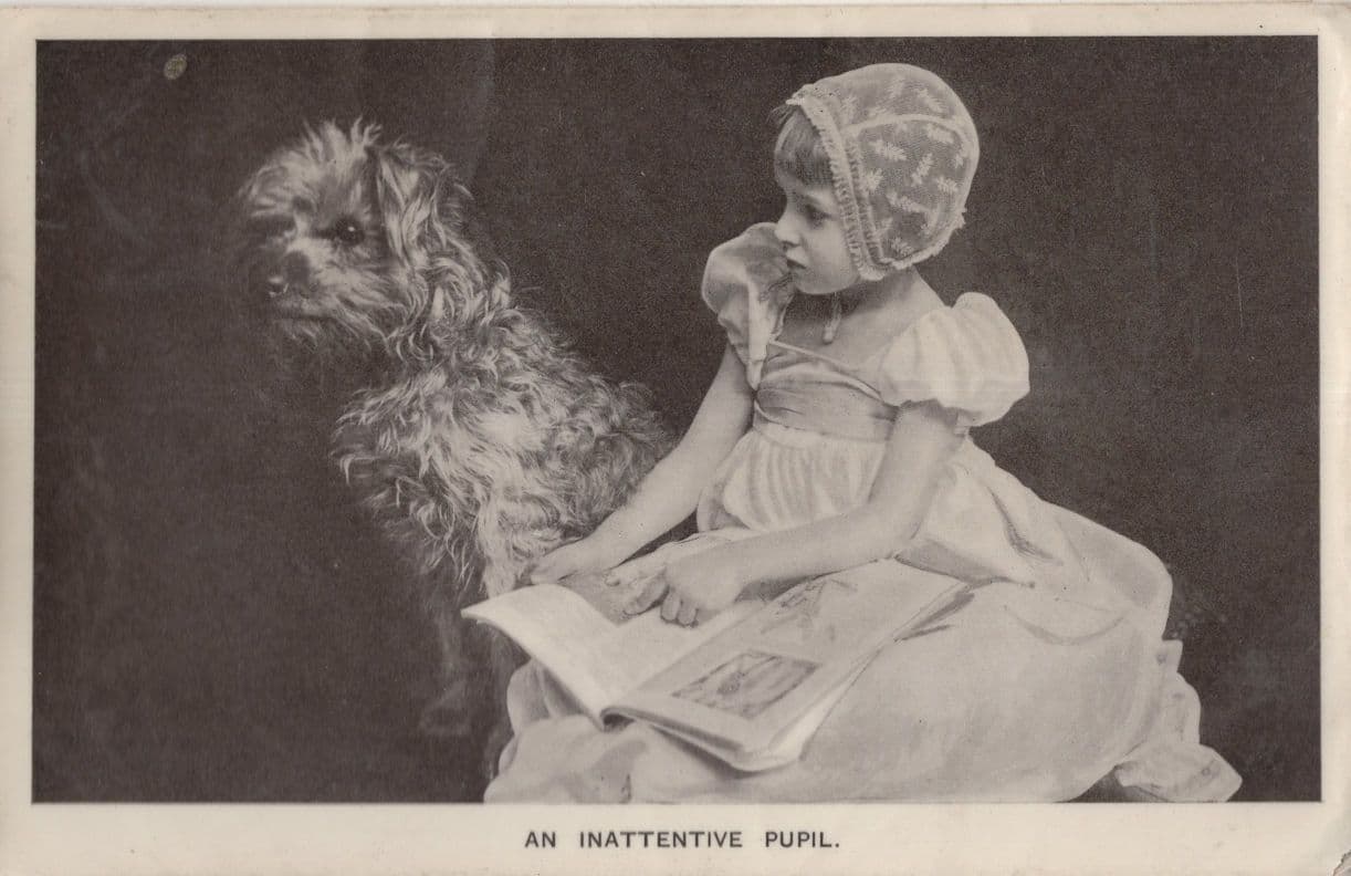 An Inattentive Pupil Dog Learning To Read RPC Postcard
