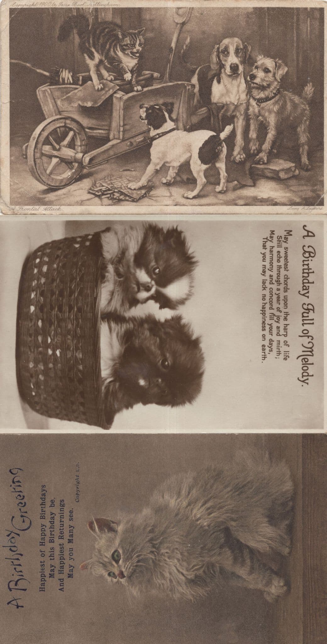 Angry Cat On Farm Antique Cats Dog & Greeting 3x Postcard s
