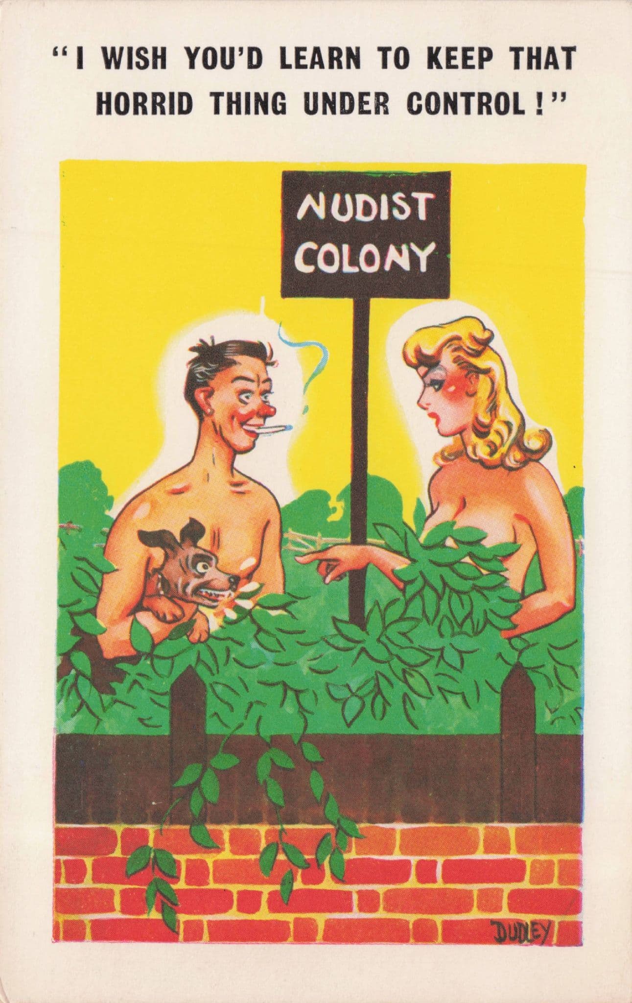 Angry Dog Sexy Risque Lady At Nudist Colony Vintage Comic Postcard