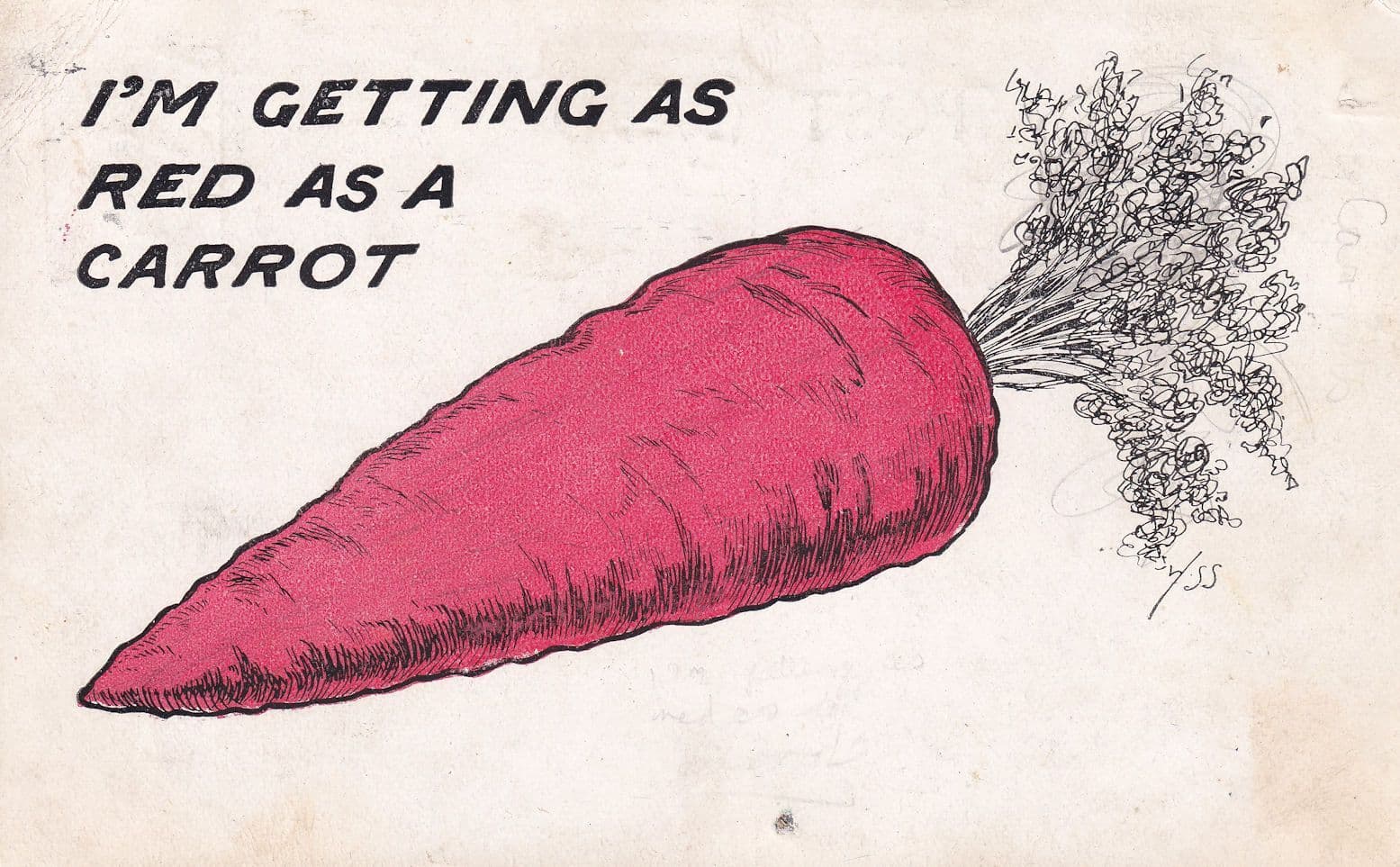 Angry I'm Getting Red As A Carrot Comic Old Proverb Postcard