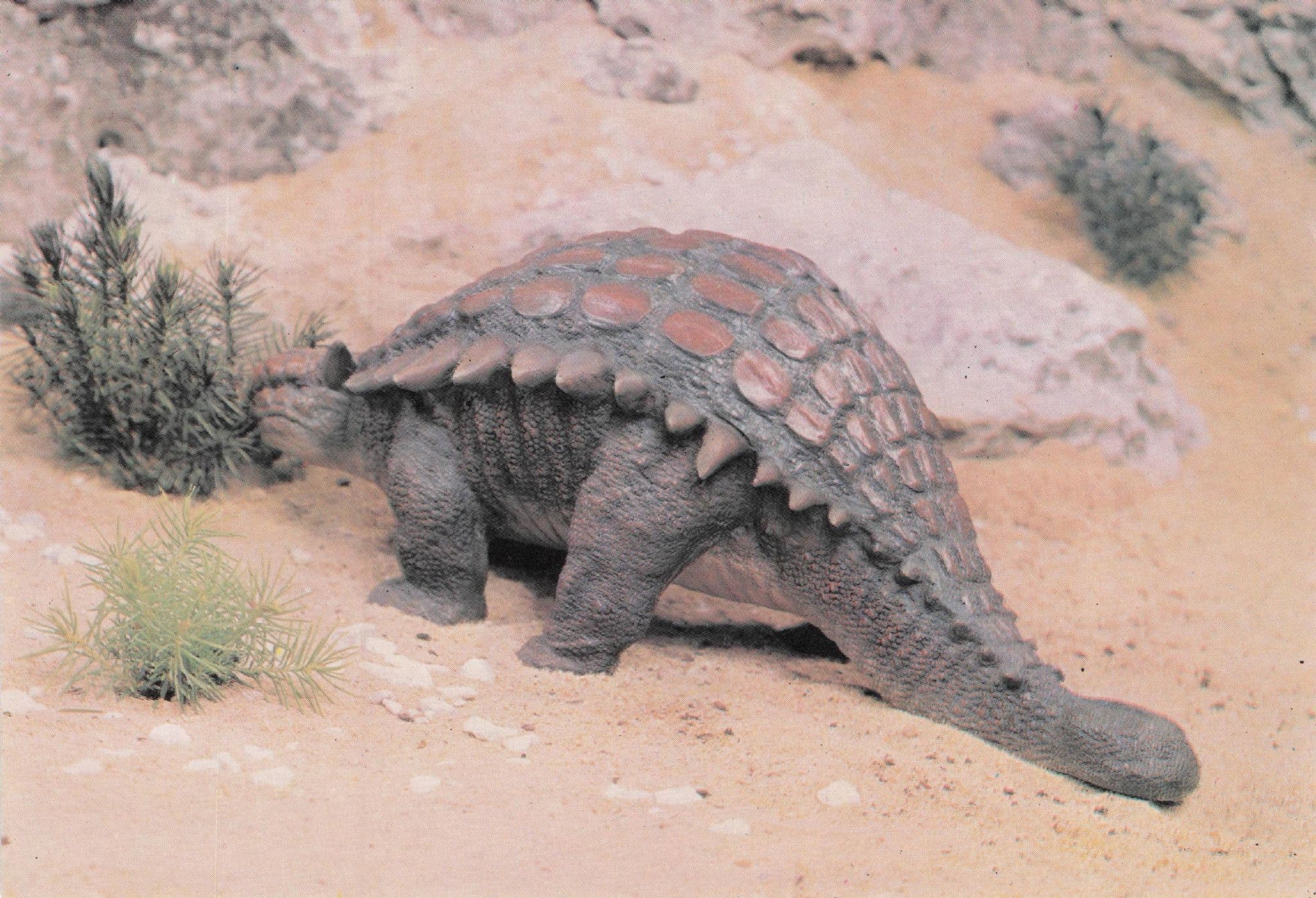 Ankylosaurus Dinosaur Rare Prehistoric Painting Postcard
