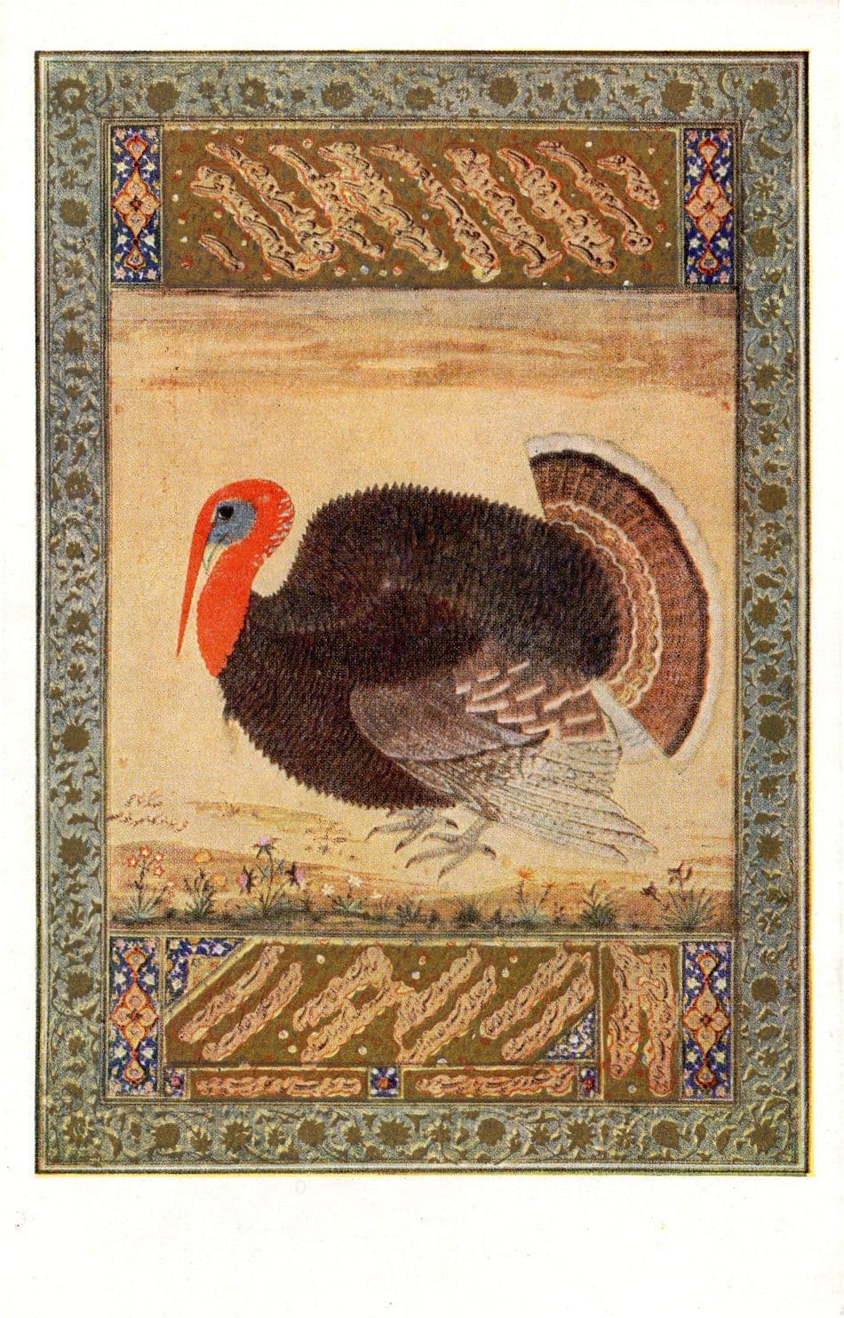 Antique Turkey Cock Hen Bird Mughal Indian Embroidery Emperor Jahangir Postcard