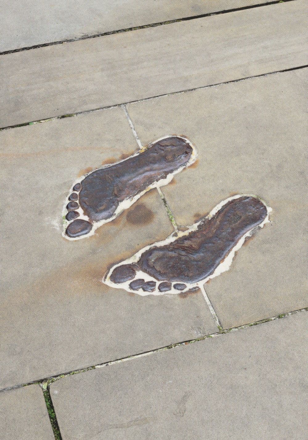 Antony Gormley Plant Footprints London Royal Academy Painting Postcard