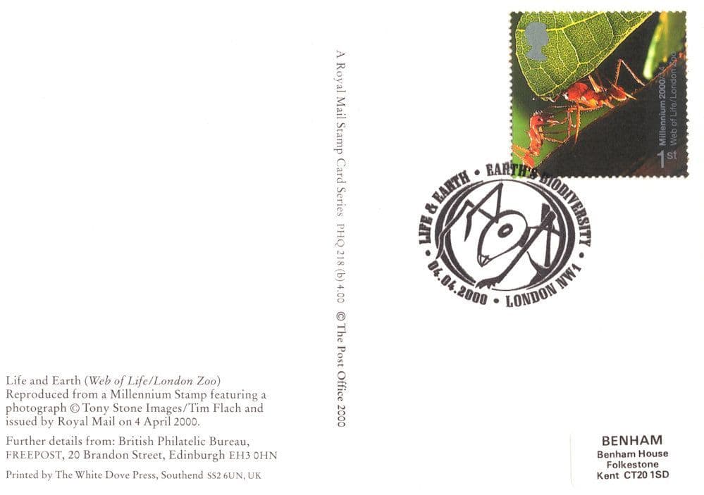 Ants At Work in London Zoo Lifting Leaf Insect PHQ Stamp Postcard