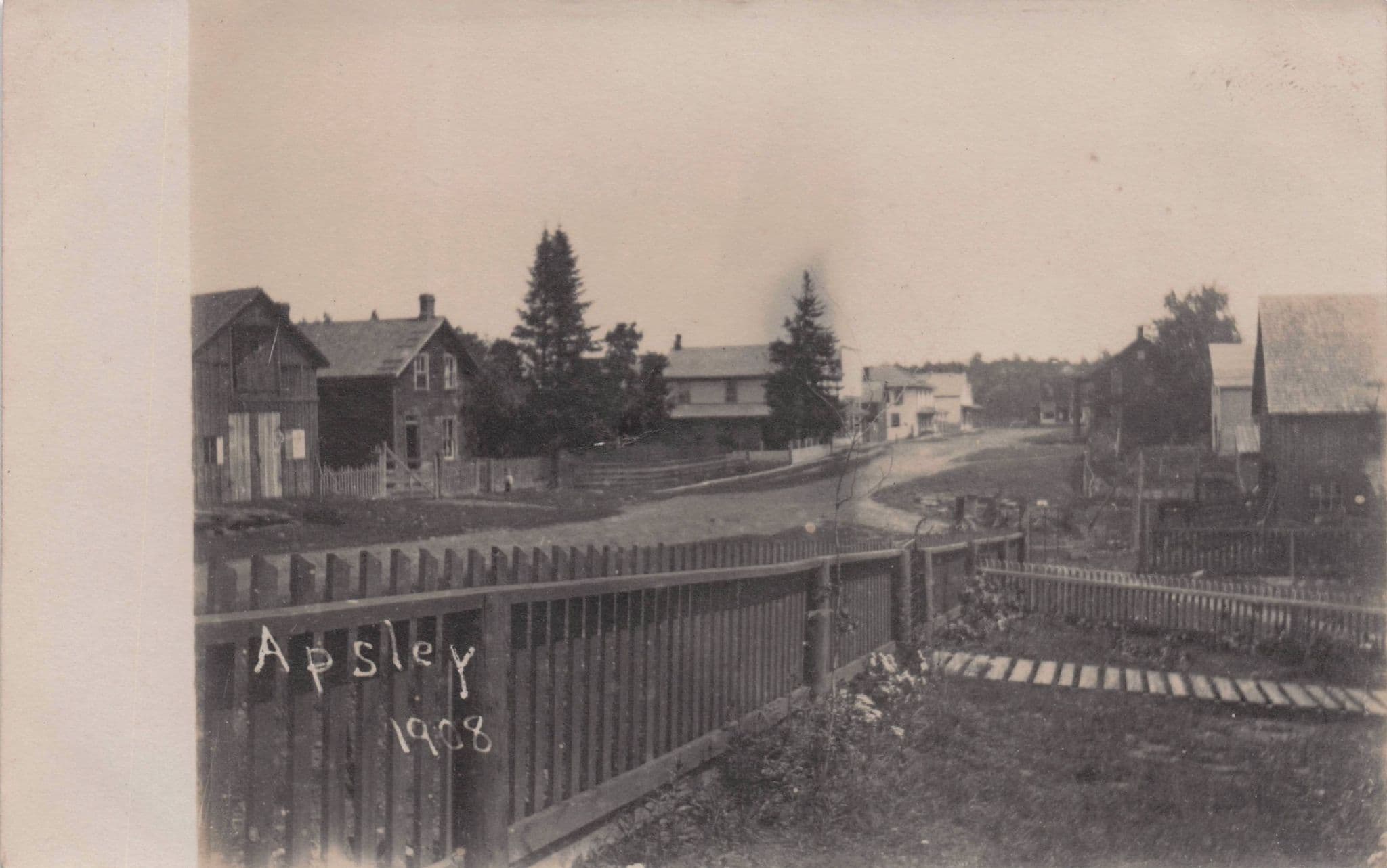 Apsley Victoria Toronto Canada 1908 Telephone Lines Antique Postcard