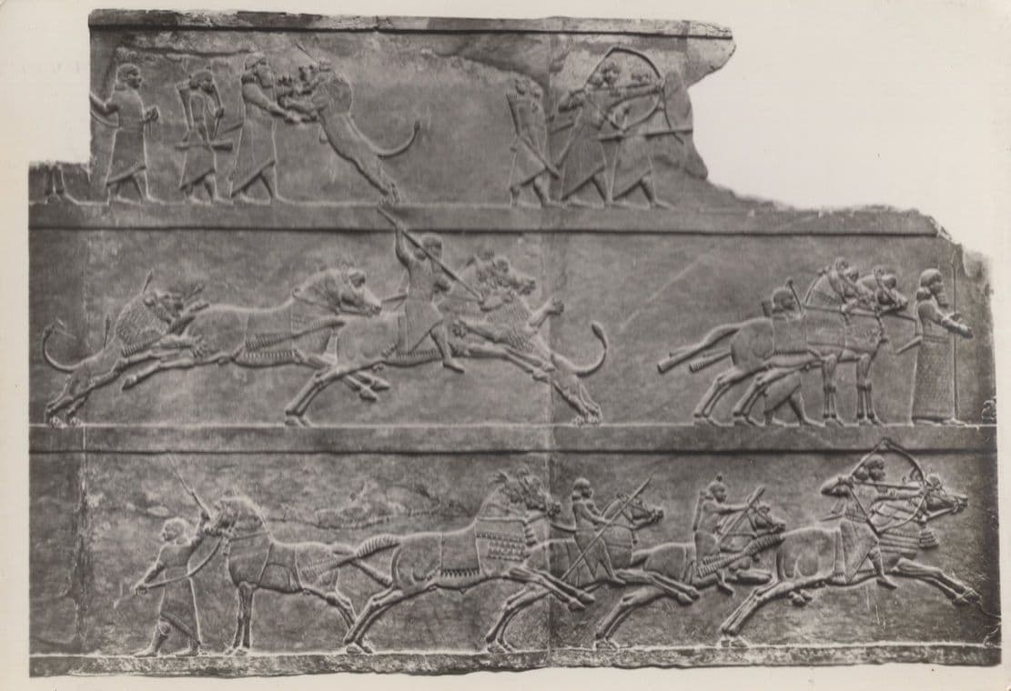 Ashur Bani Pal King of Assyrian British Museum RPC Postcard