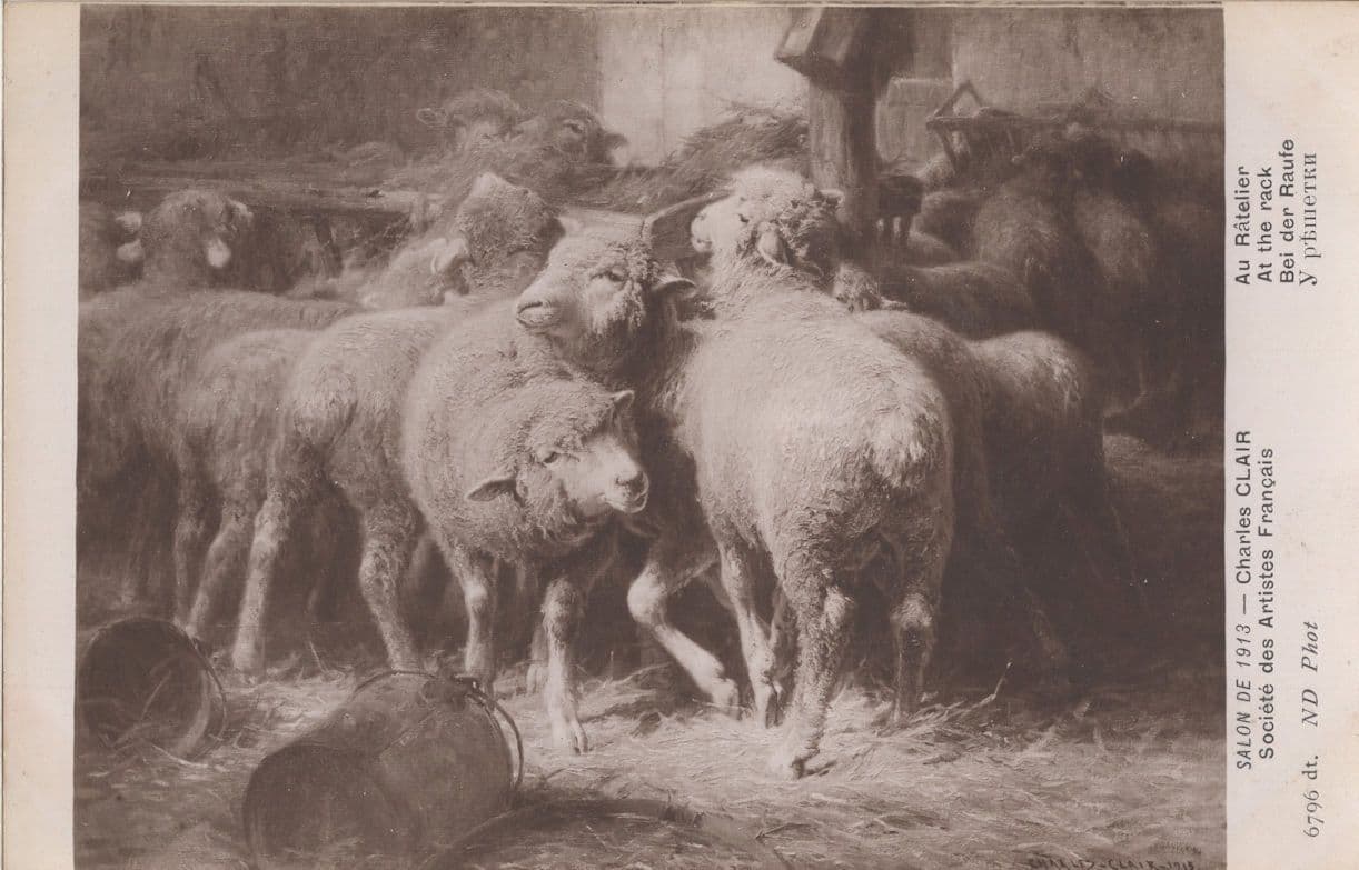 At The Rack Charles Clair French Salon Sheep Old Painting Postcard