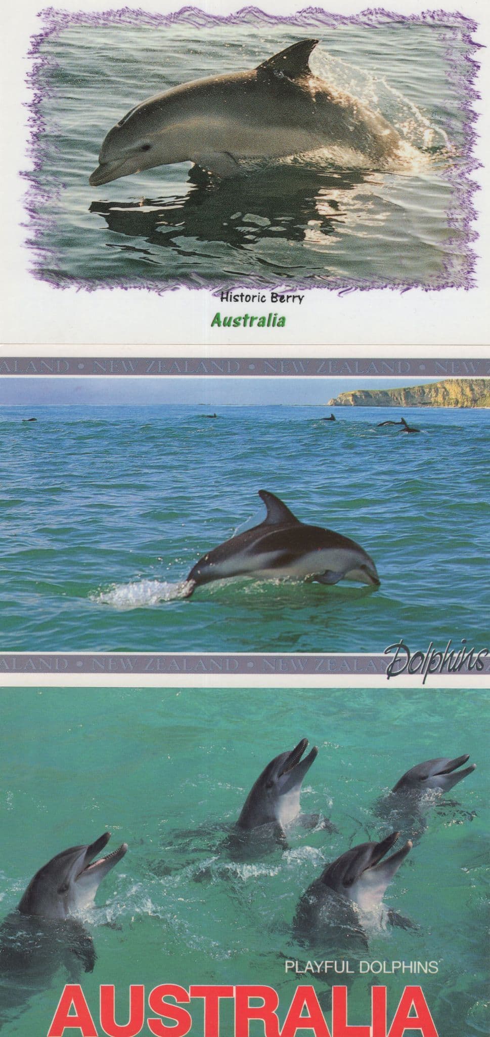 Australia & New Zealand Playful Dolphins 3x Postcard s