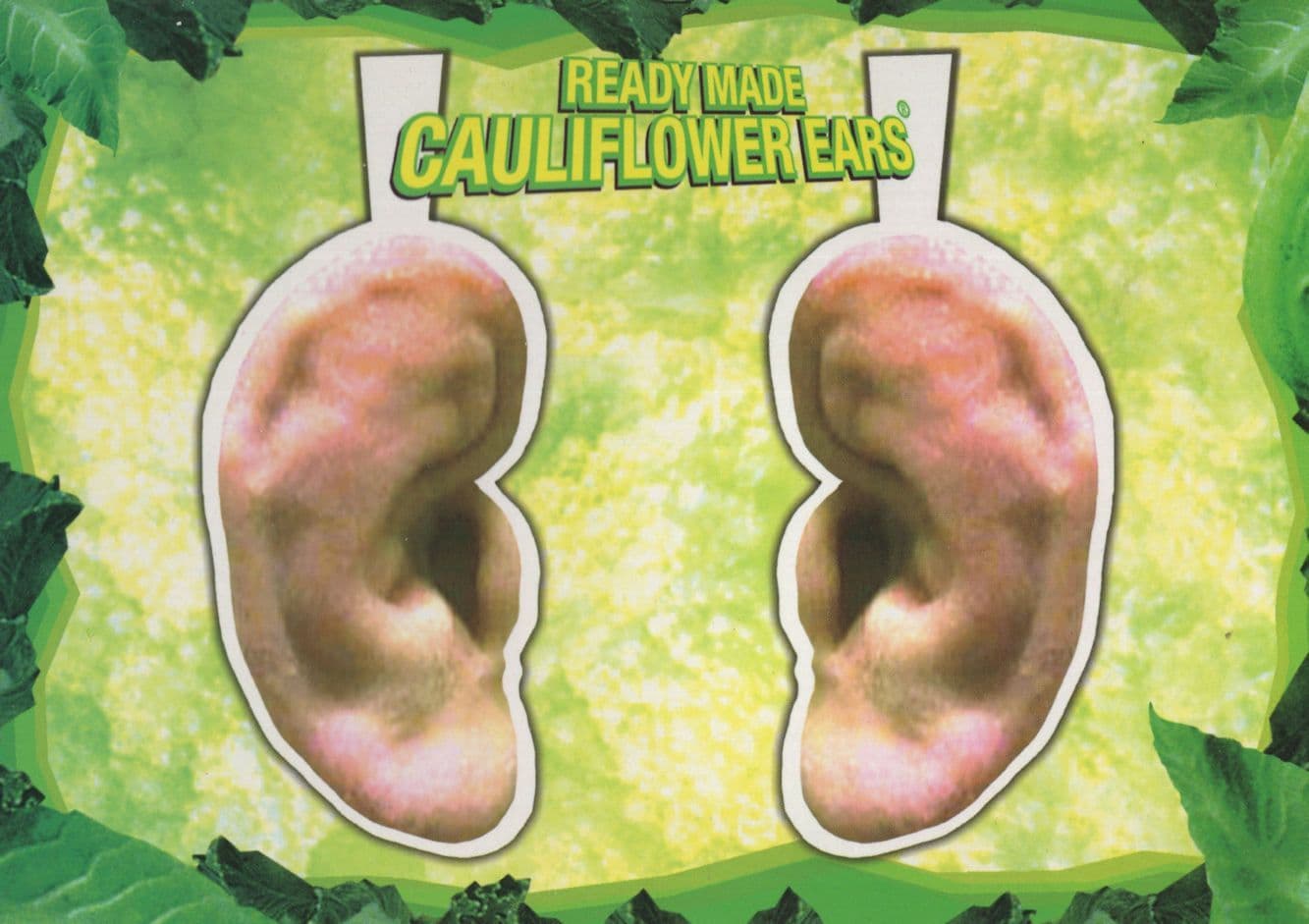 Australian Cauliflower Ears Rugby 2003 World Cup Postcard