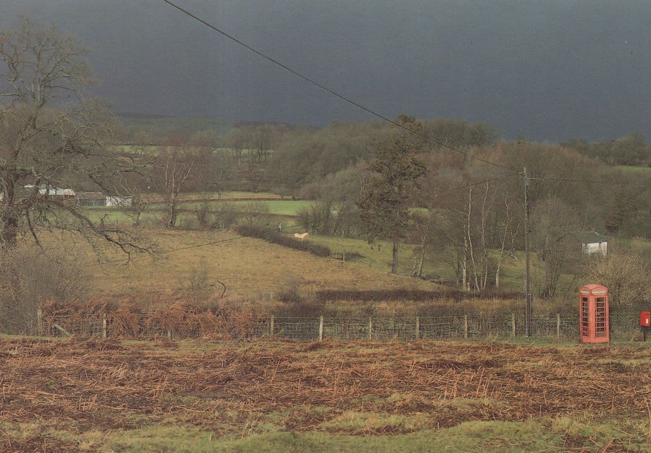 Awyr Ddu Bocsys Coch Rural Welsh Telephone Box Postcard