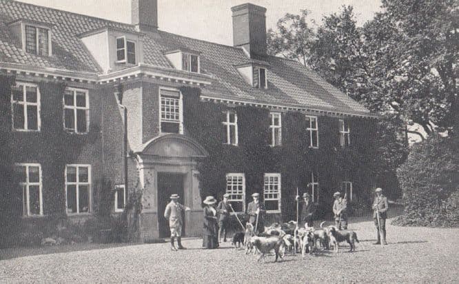 Aylsham Manor Otterhound Angry Pack Of Dog Dogs Norwich Antique Postcard