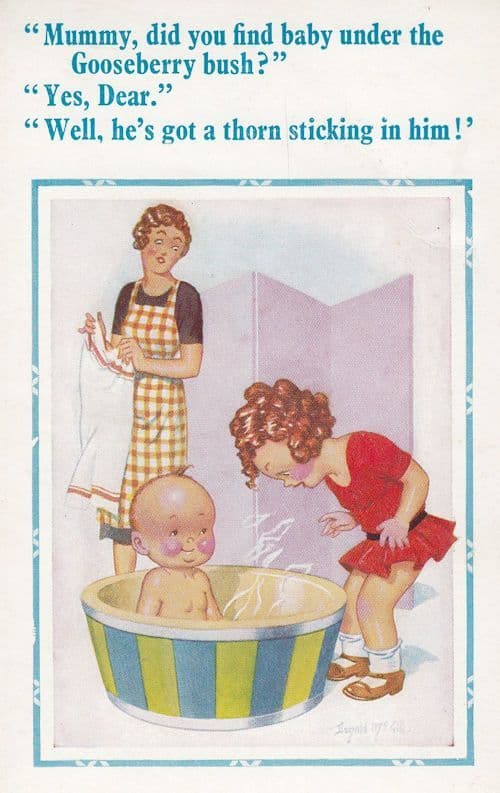 Baby Found Under The Gooseberry Bush Adam & Eve Type Comic Postcard