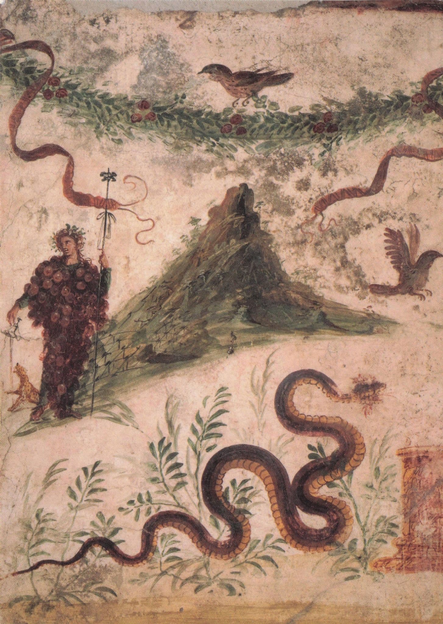 Bacchus Mount Vesuvius Naples Museum Italian Art Mural Postcard