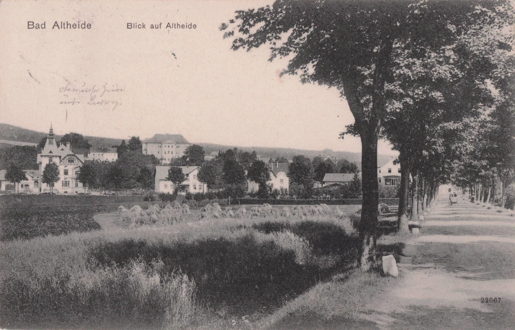 Bad Altheide Blick Auf Altheide German Antique Postcard