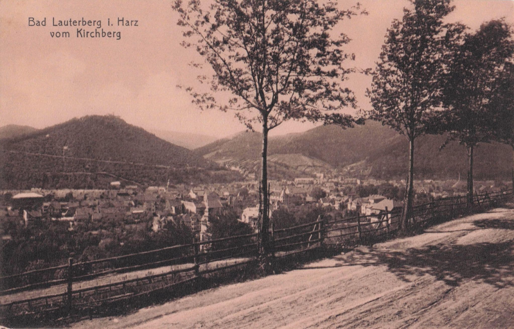 Bad Lauterberg Harz Vom Kirchberg German Antique Postcard